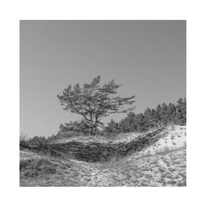 优酸乳成人字幕在线观看
